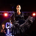 flamenco (106)